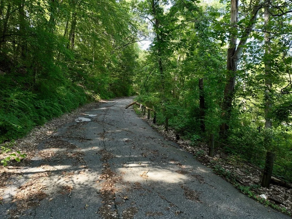 Photo of 222 River Rd