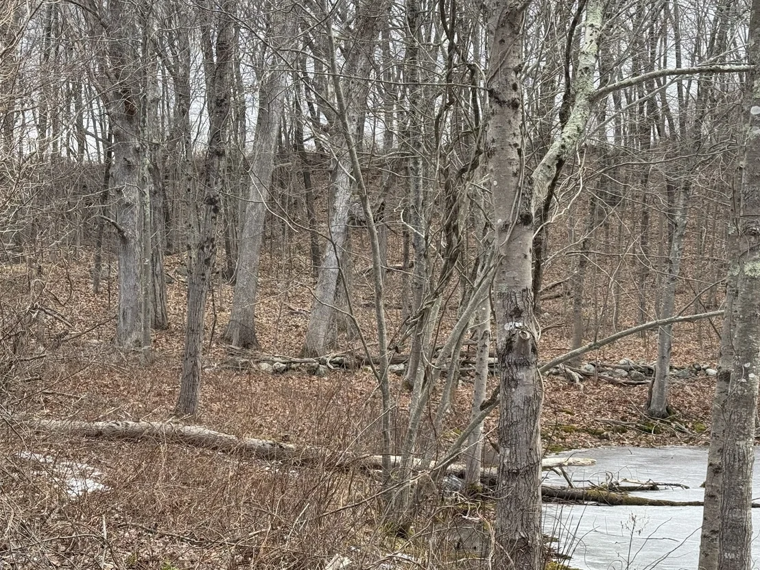 Photo of 358 W Sutton Rd