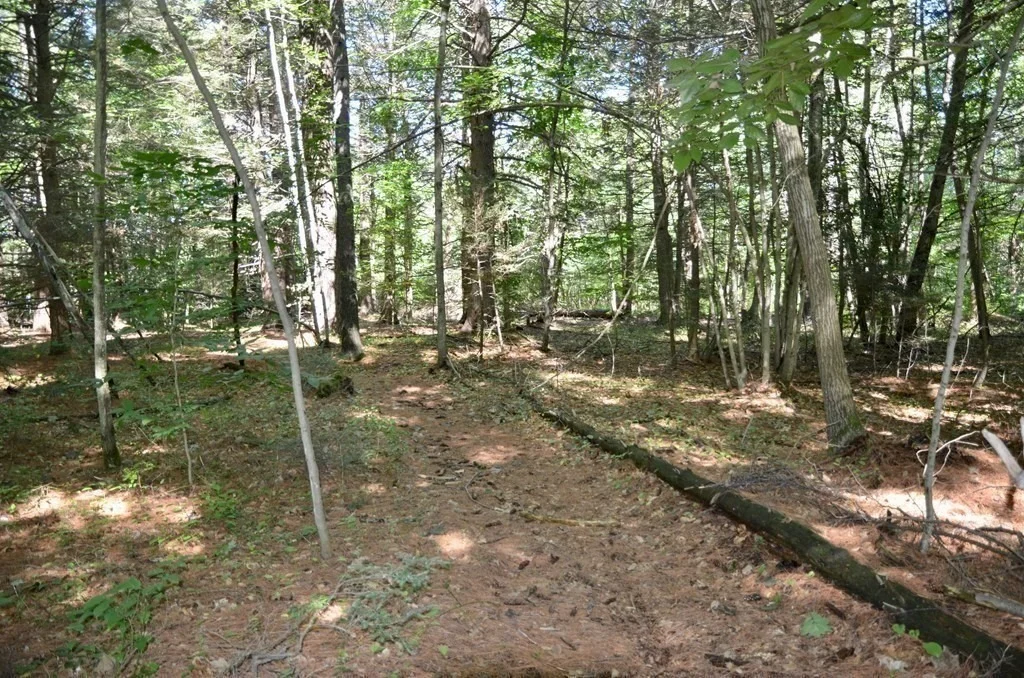 Photo of 154 Lafayette Rd
