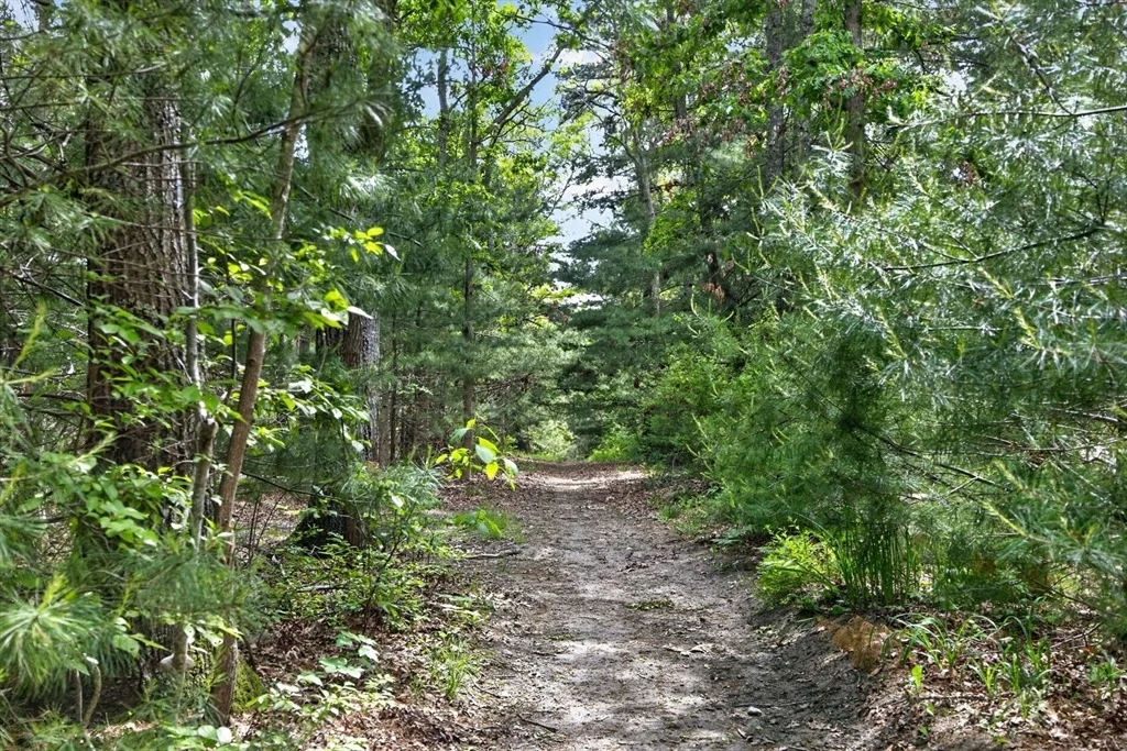 Photo of 20 Hirsch