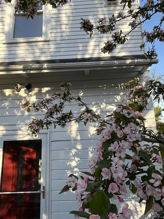 Photo of 303 Nahant Road