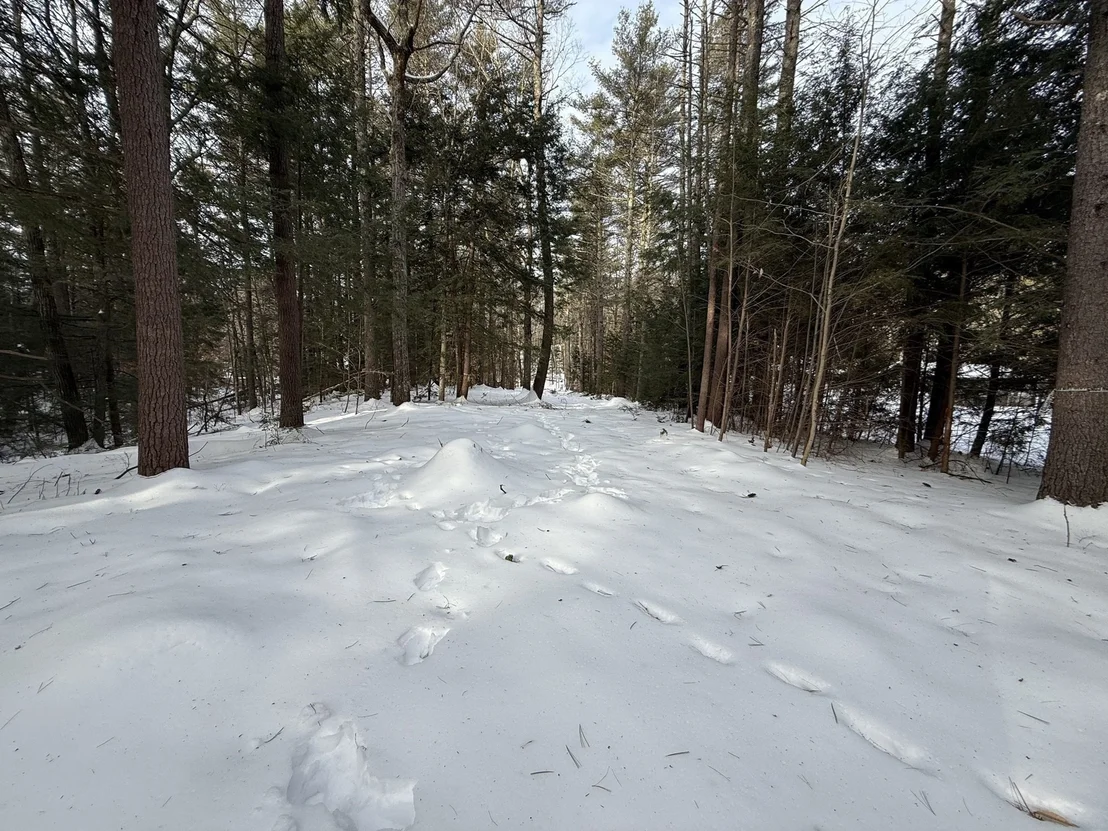Photo of 0 Old Keene Rd