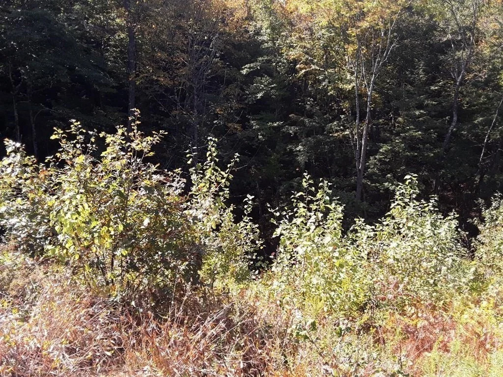 Photo of 296 Northwest Road