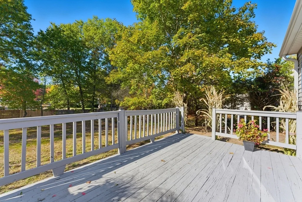 Photo of 22 Phelps St