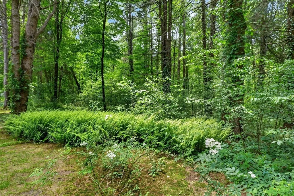 Photo of 17 Maplewood  Road