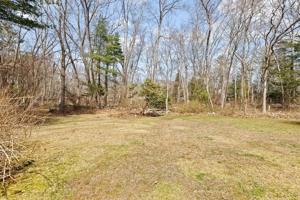 Photo of 65 Pine Street