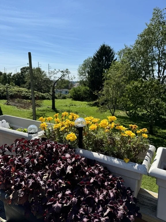 Photo of 1023 Main Rd