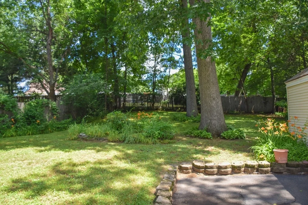Photo of 62 Balfour Drive