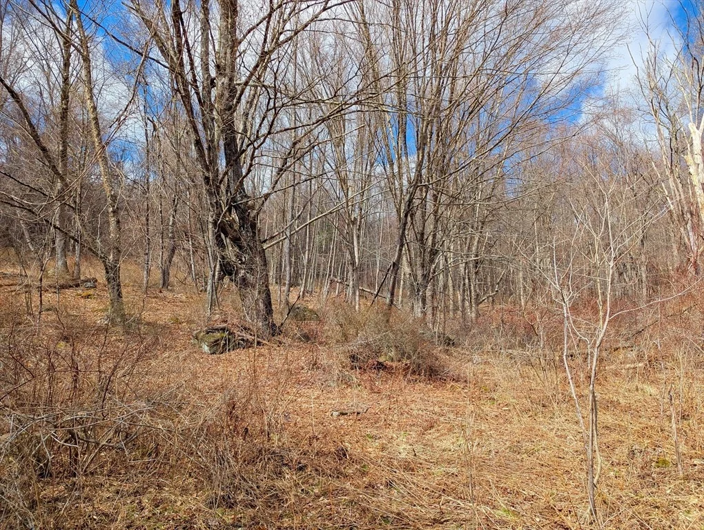 Photo of Lot 33.03 William Holmes Rd