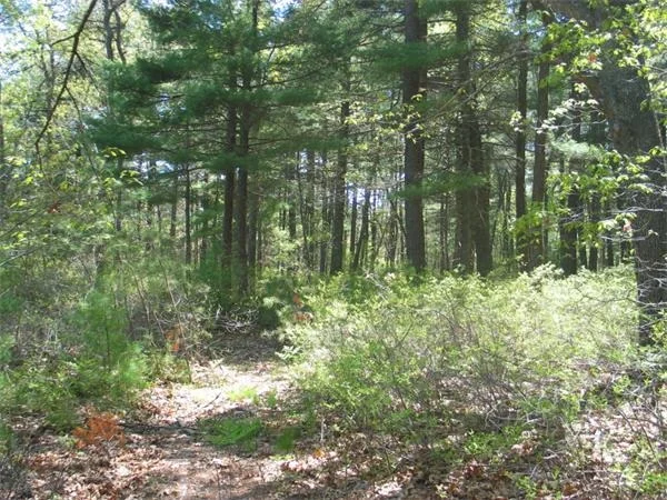Photo of 103 Maple Springs Rd