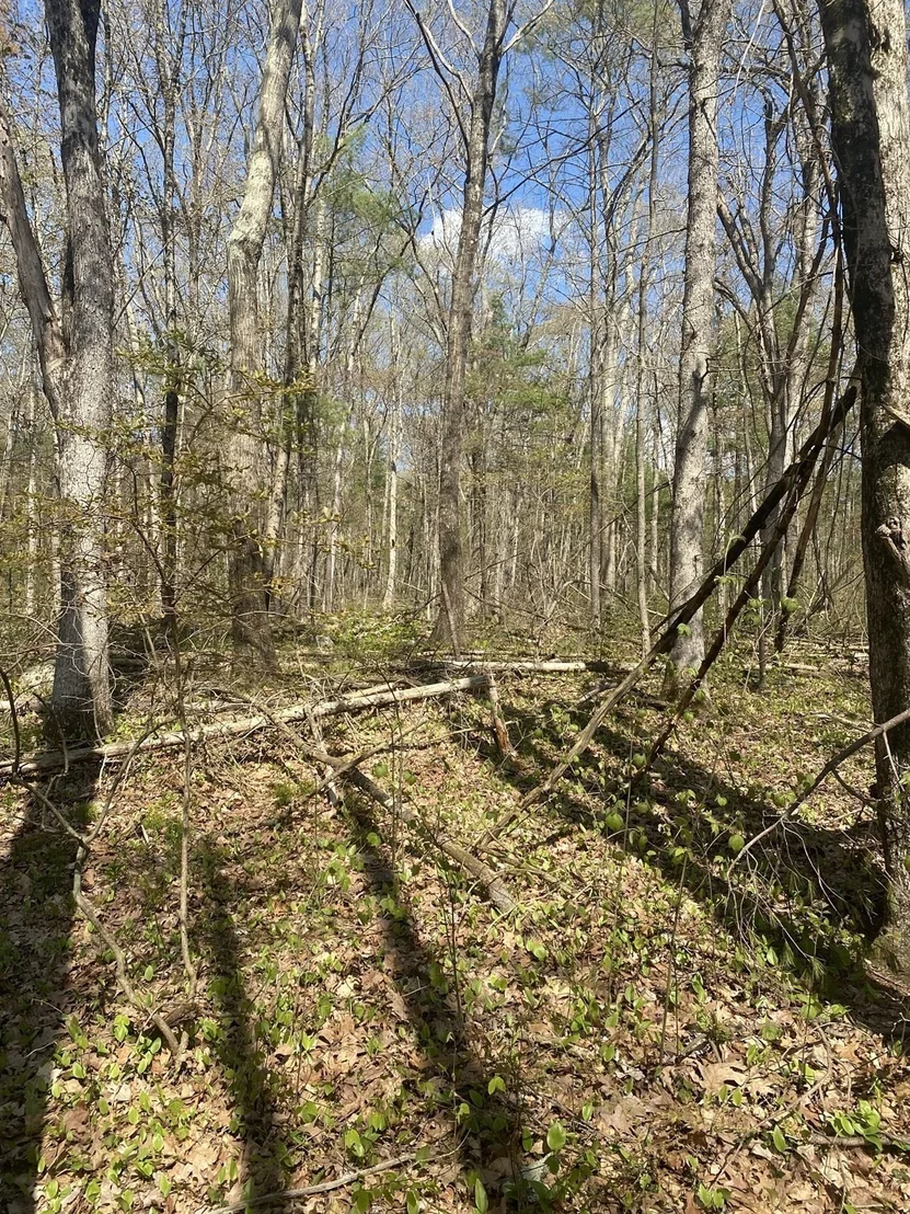 Photo of 395 Belchertown Rd