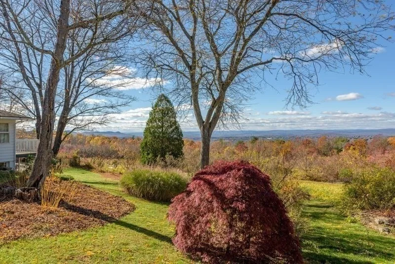 Photo of 41 Arnold Rd