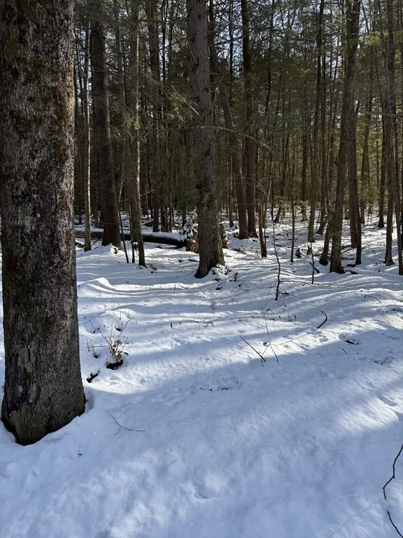 Photo of 0 Four Mile Brook Rd