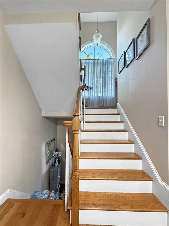 Photo of 44 Dominion Rd
