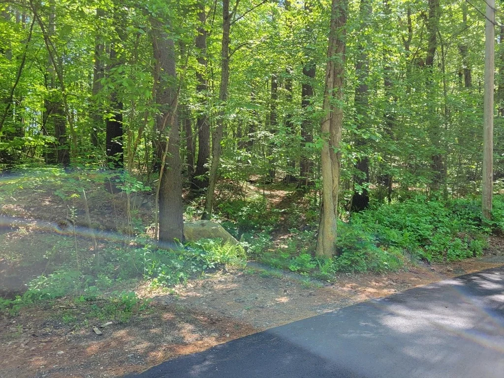 Photo of Lot 5 Daniels Rd