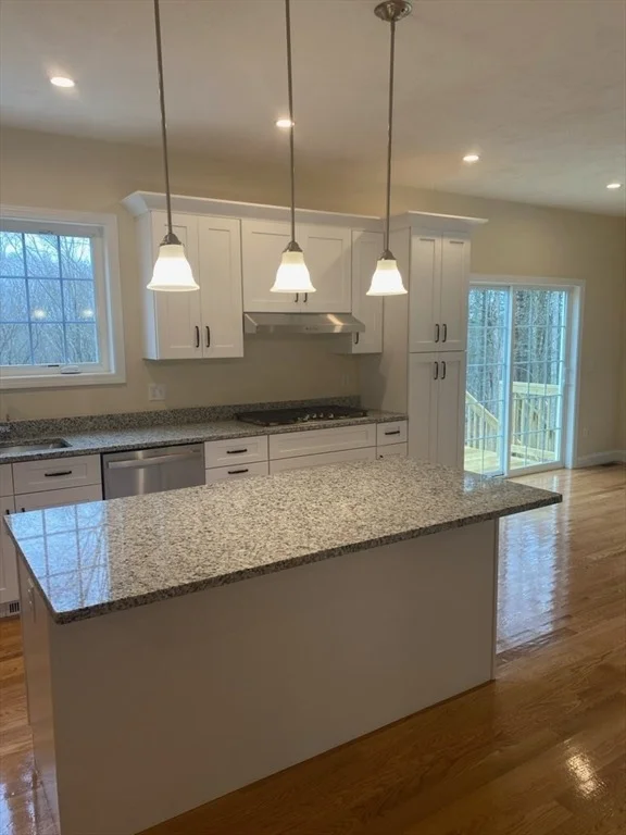 Photo of 295 Crownshield Ave