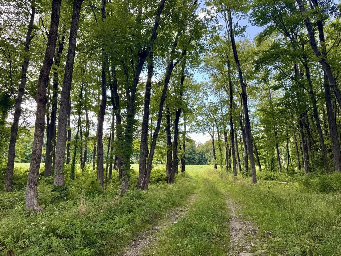 Photo of 54 Patten Road