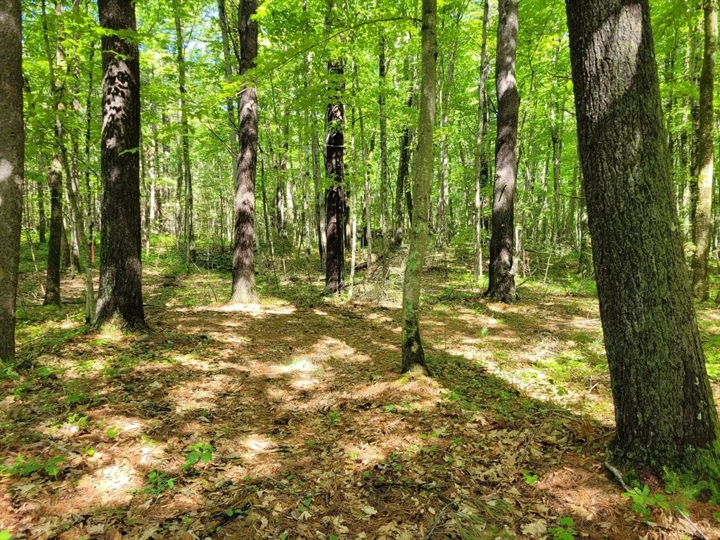Photo of Lot 8 Daniels Rd