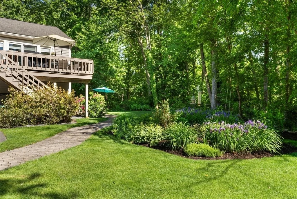 Photo of 53 Hollytree Rd
