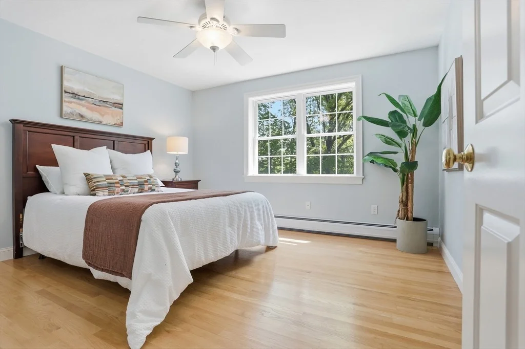 Photo of 71 Chamberlain Rd