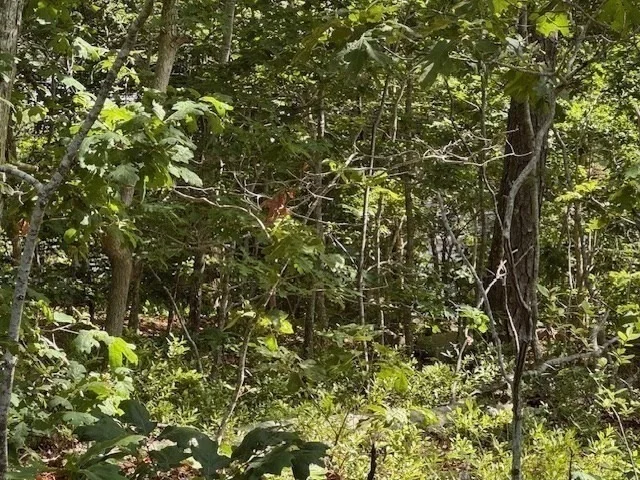 Photo of 35 Sterling Rd