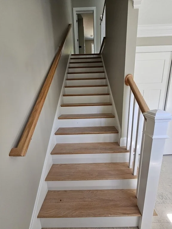 Photo of 17 Paul Road