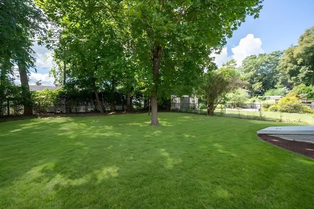 Photo of 43 Laurel St