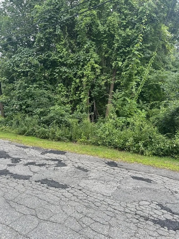 Photo of 56 Birch Hill Rd