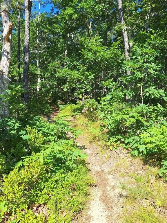 Photo of 49 Oak Valley Rd