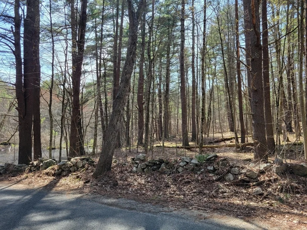 Photo of Lot 3 Daniels Rd