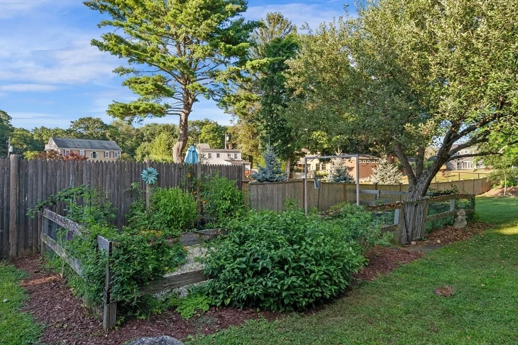 Photo of 67 Pond St