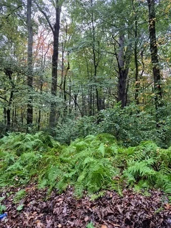 Photo of 0 Blackmer Rd