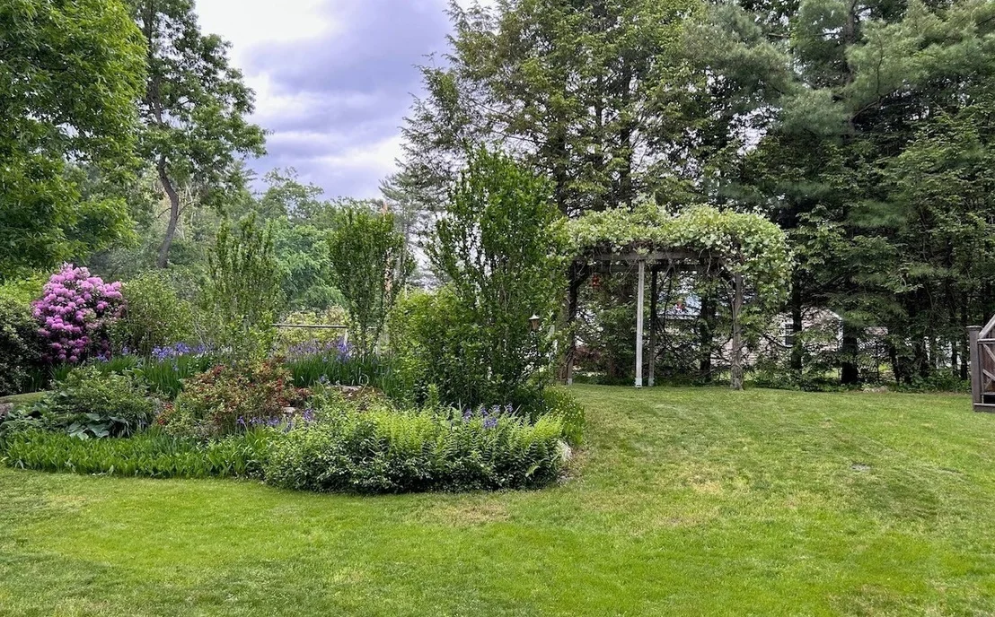 Photo of 73 Maynard St