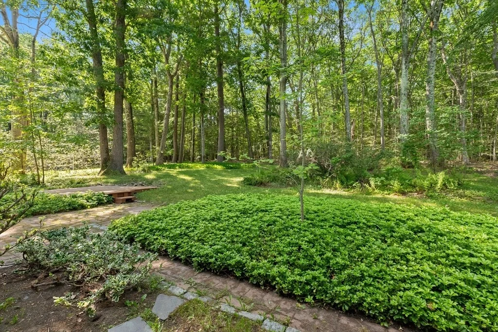 Photo of 31 Kimball Rd