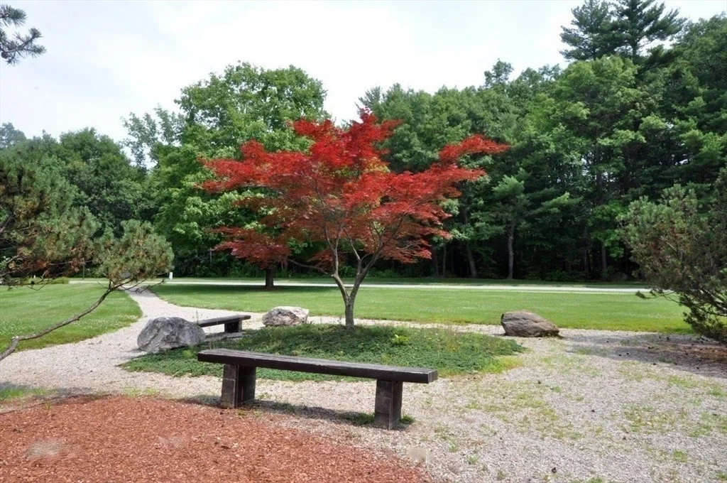 Photo of Unit 172 at 172 Split Rock