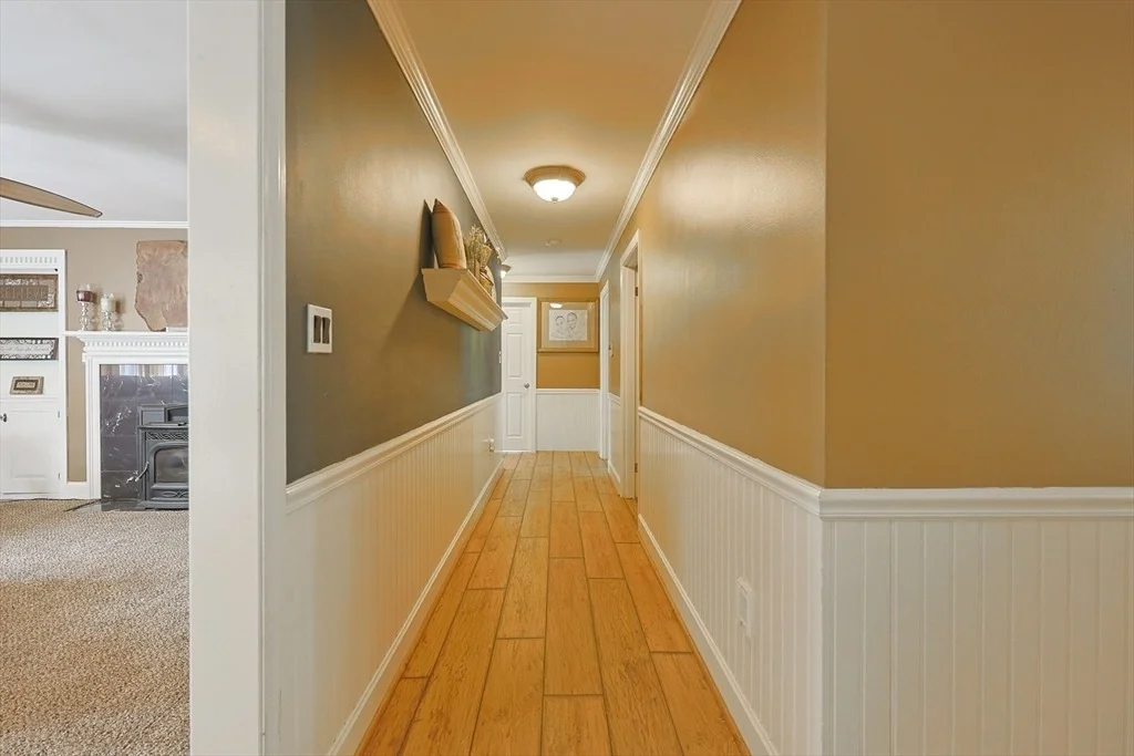 Photo of 24 Waldo St