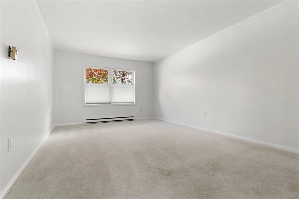 Photo of 21 Hammond Street
