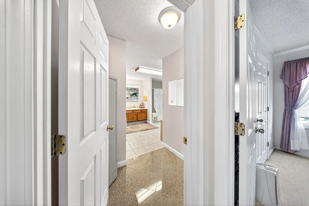 Photo of 56 Schofield St