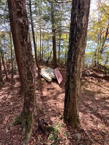 Photo of 115 Aberdeen Rd