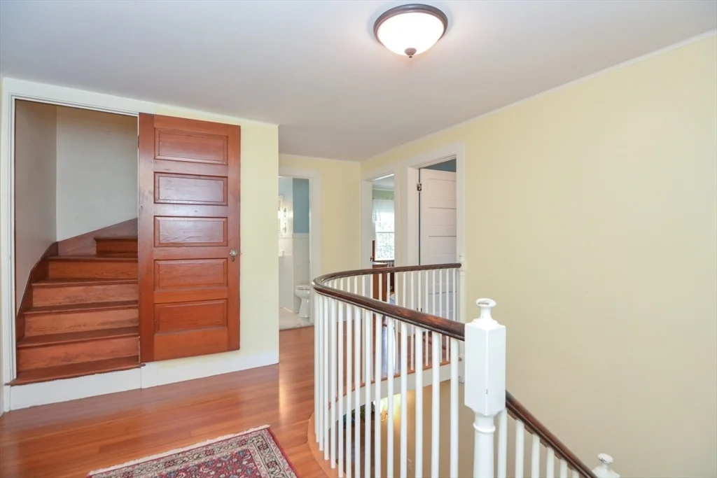 Photo of 36 Nelson Street