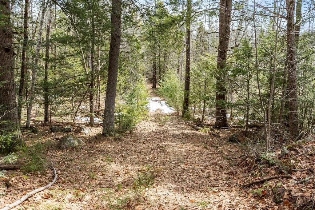 Photo of 0 Mellen Rd