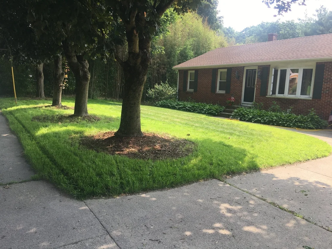 Photo of 770 County Street