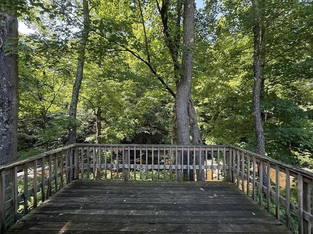 Photo of 55 Ashfield Rd