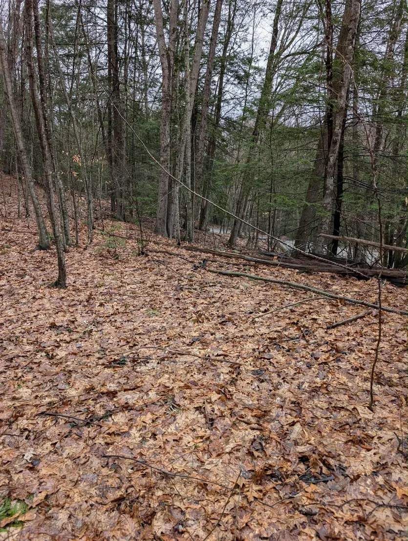 Photo of 111 Keets Brook Rd