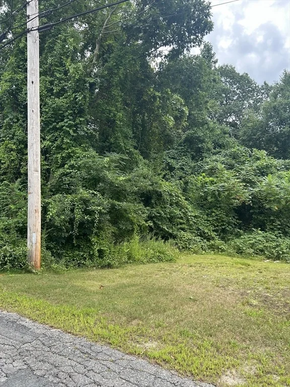 Photo of 56 Birch Hill Rd