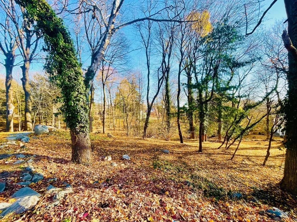 Photo of 115 Juniper Rd