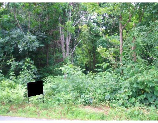 Photo of Lot 2 Randall Road