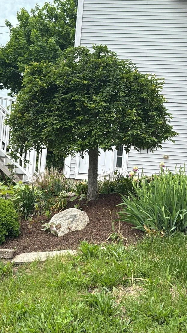 Photo of 1 Clegg St