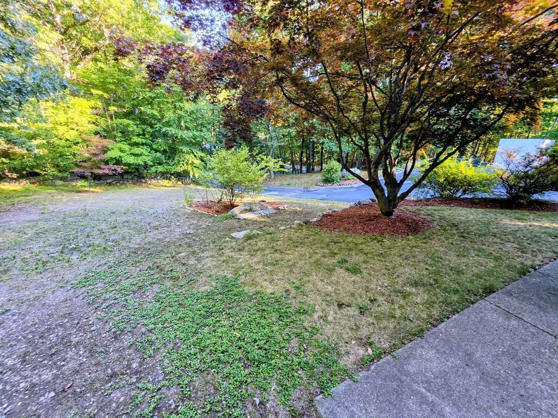 Photo of 80 Winter St