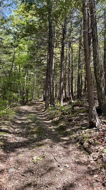 Photo of 66 Reils Lane